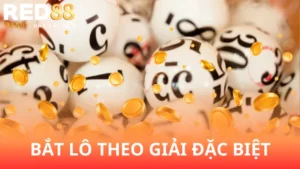 cach-bat-lo-theo-giai-dac-biet-huong-dan-nhanh