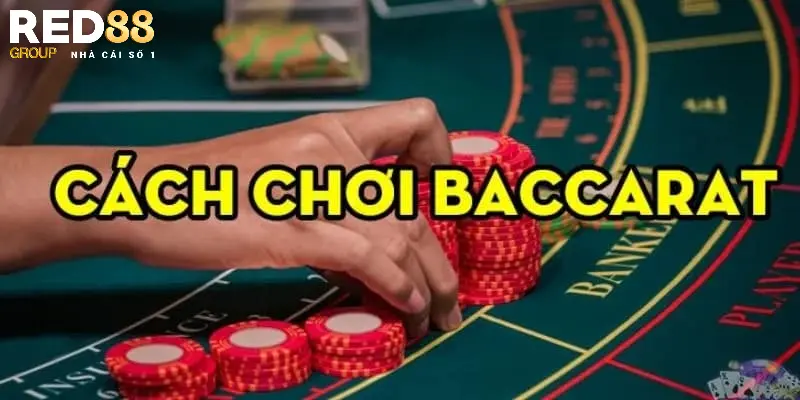 Chiến thuật chơi Baccarat luôn thắng từ cao thủ