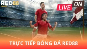 truc-tiep-bong-da-red88-ca-cuoc-the-thao-song-dong-nhat-2025
